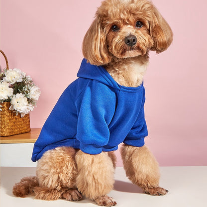 Personalized Embroidery Solid-Color Warm Pet Hoodie