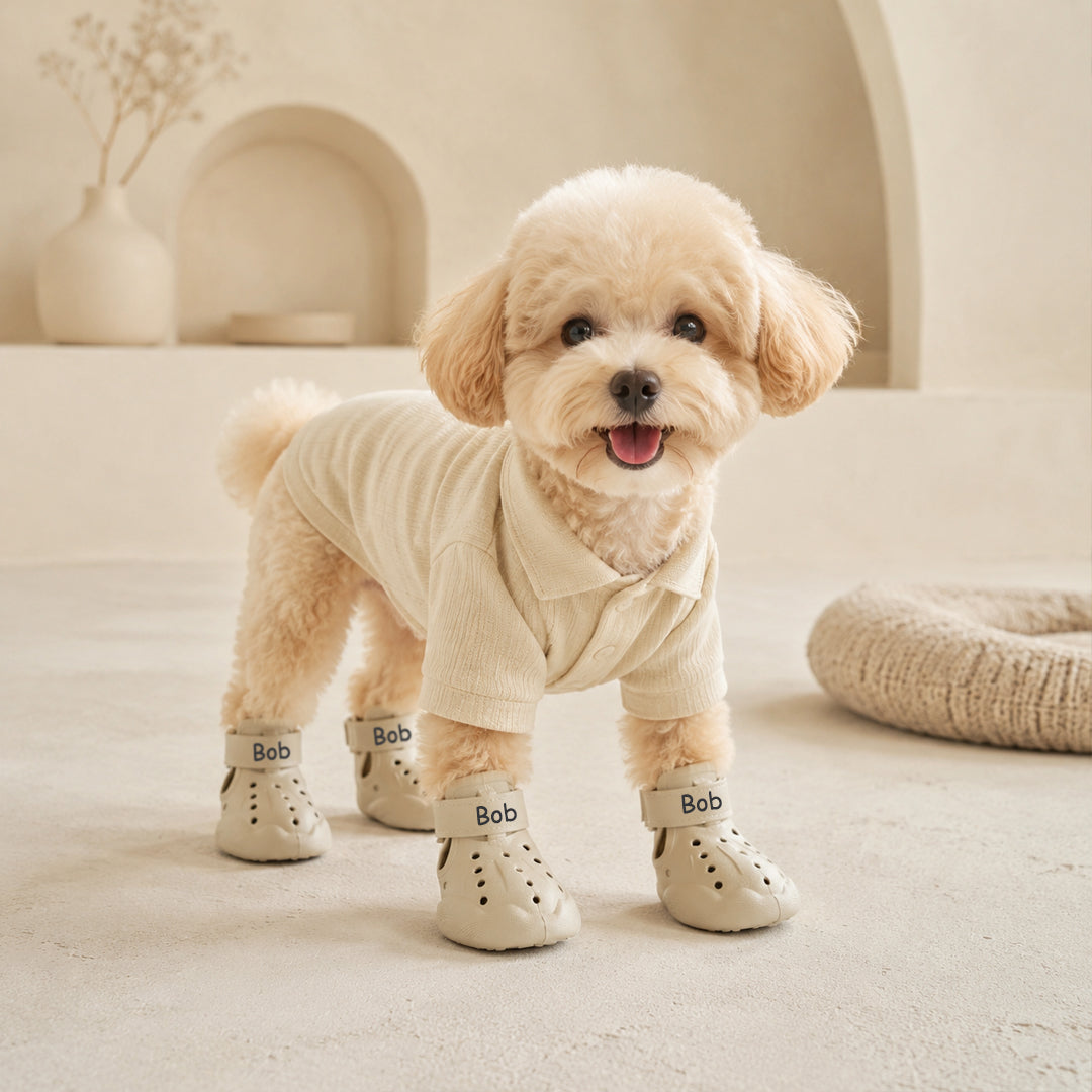 Personalized Name Dog Shoes
