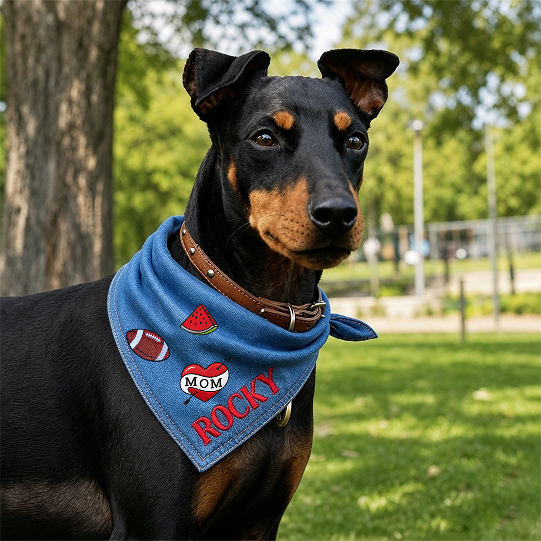 Personalized Denim Dog Bandana