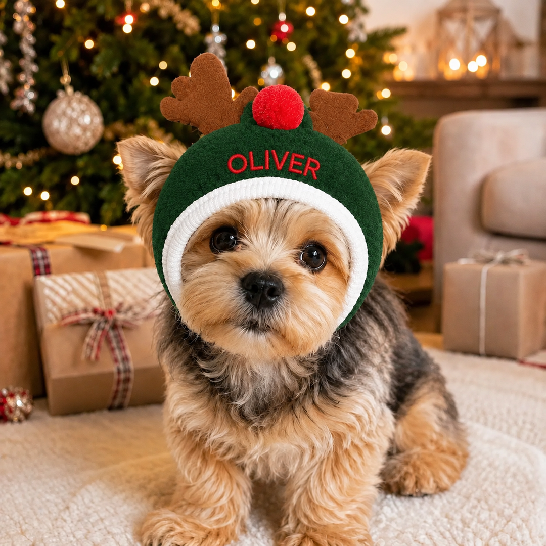 Personalized Embroidered Christmas Pet Hat