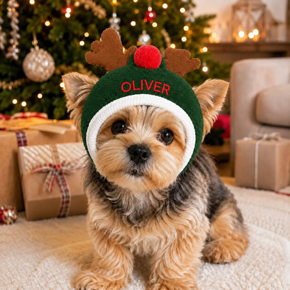 Personalized Embroidered Christmas Pet Hat