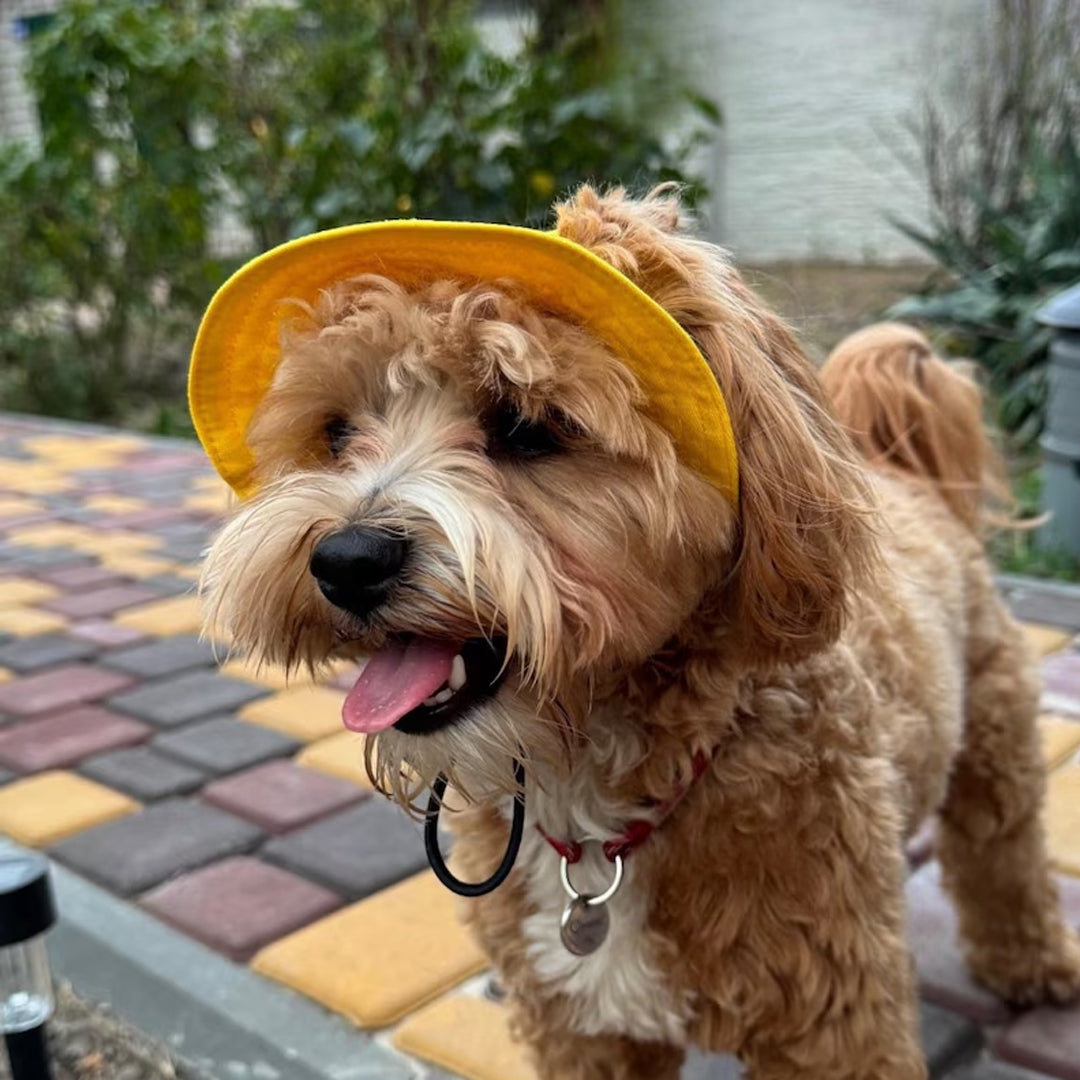 Custom Embroidered Name Pet Bucket Hat