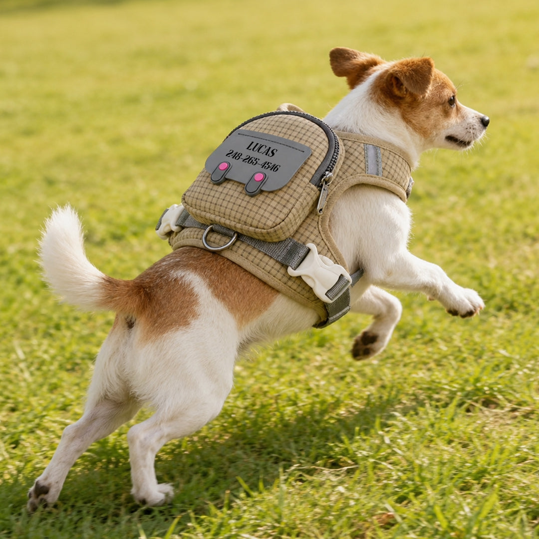 Customizable Pet Backpack-Style Harness