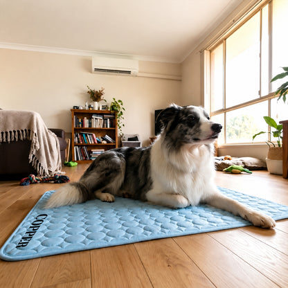 Personalized Pet Summer Cooling Mat