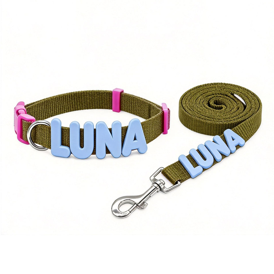 Personalized Letter Pet Leash and Collar Set