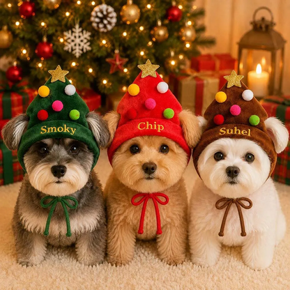 Personalized Embroidered Christmas Pet Hat