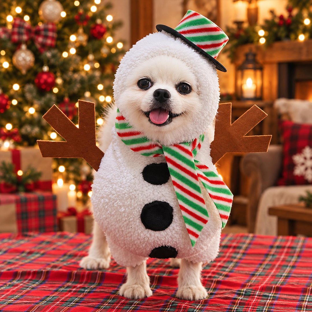 Snowman Costume for Small Dogs