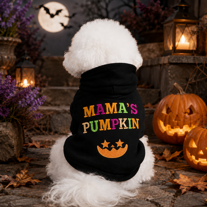 Puptailor Embroidered Halloween Pumpkin Pet Hoodie