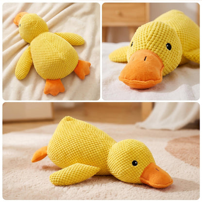 Durable, Squeaky Pet Toy for Teething and Boredom Relief