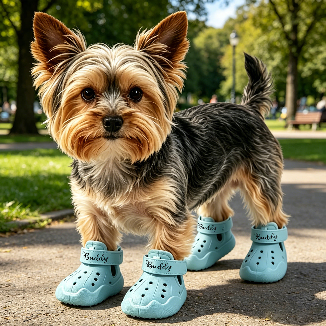 Personalized Name Dog Shoes