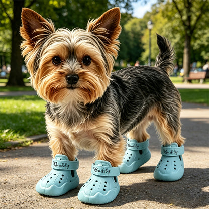 Personalized Name Dog Shoes