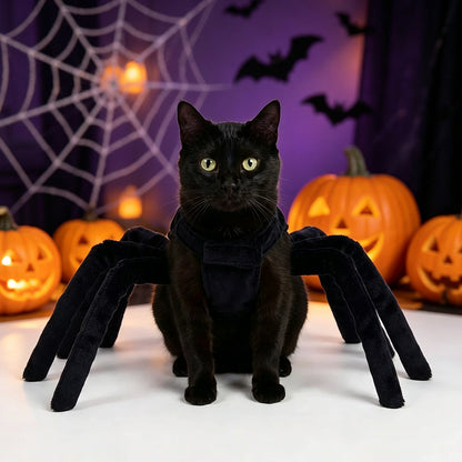 Puptailor Pet Spider Halloween Costume for Cats & Small Dogs