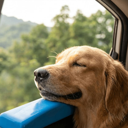 Personalized Car Window Chin Rest For Dogs