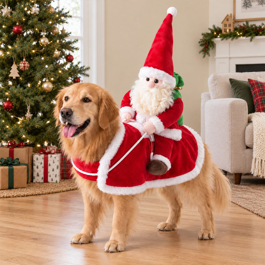 Santa Rider Dog Costume