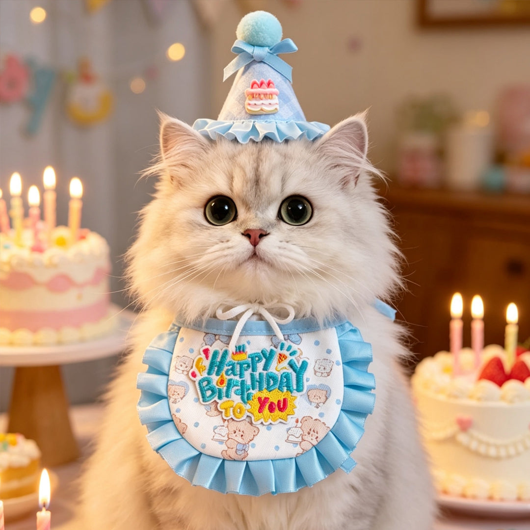 Birthday Hat & Ruffle Collar Set for Pets