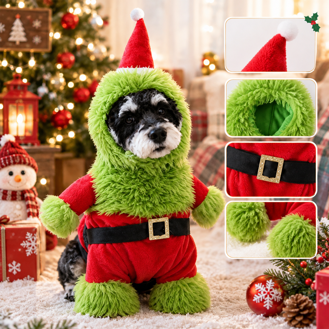 Fuzzy Green Santa Christmas Costume Set for Dogs & Cats
