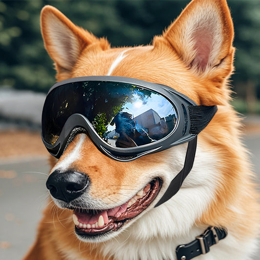 Cool and Windproof Sunglasses for Pets