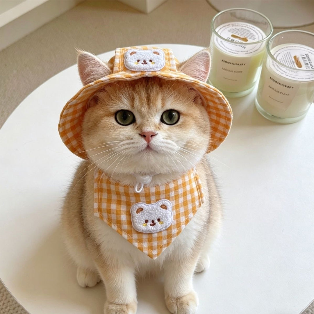 Puptailor Cute Bear Gingham Pet Hat And Bandana Set For Cats Small Dogs