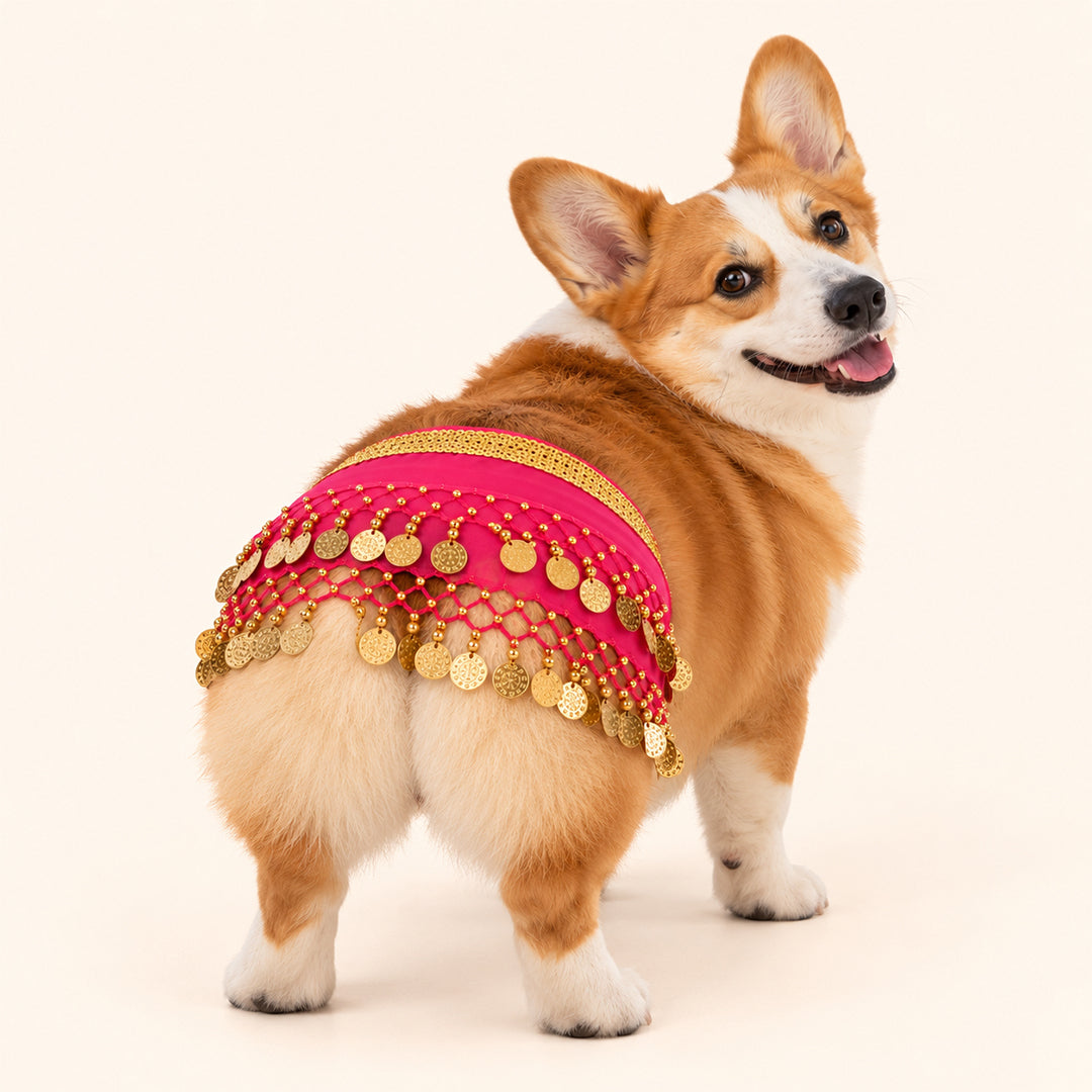 Funny Belly Dance Costume for Pet