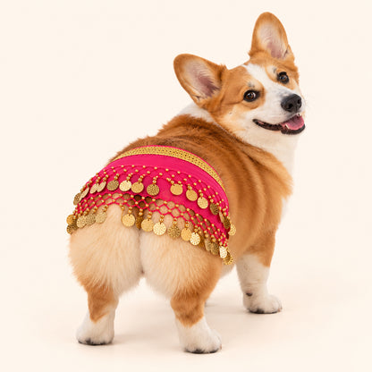 Funny Belly Dance Costume for Pet