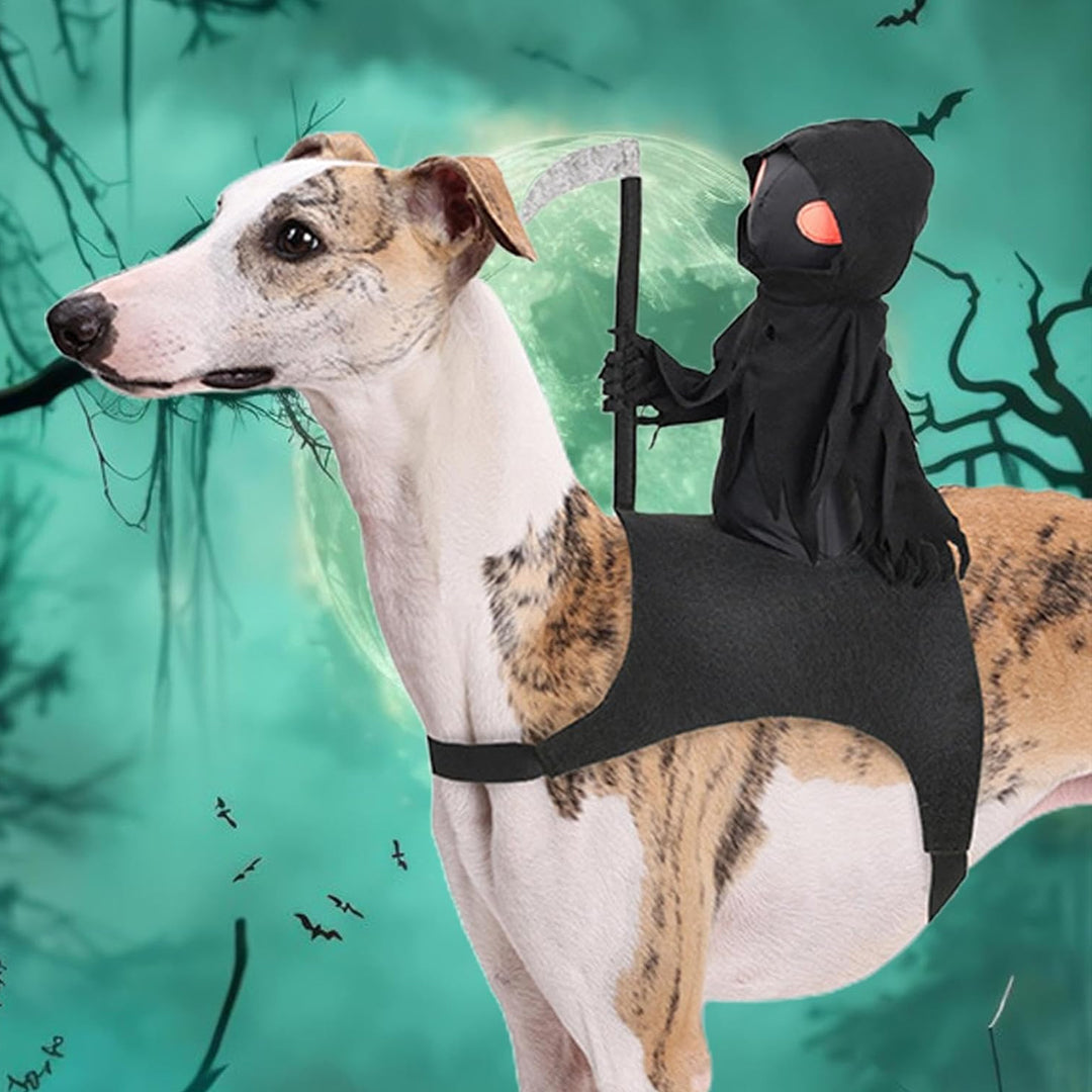 Puptailor Pet Halloween Death Knight Costume