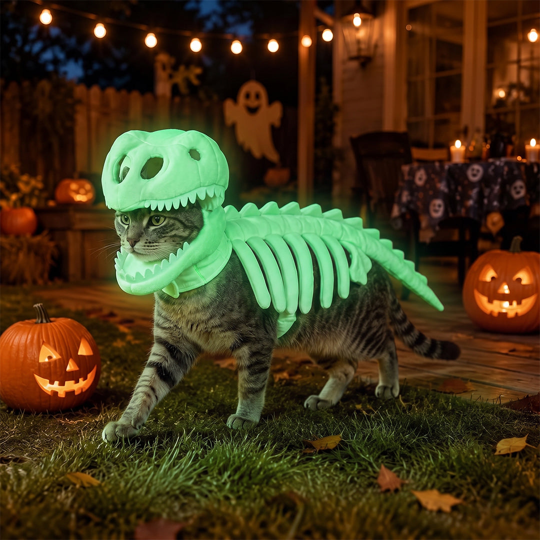 Puptailor Glow-in-the-Dark Dinosaur Skeleton Pet Halloween Costume