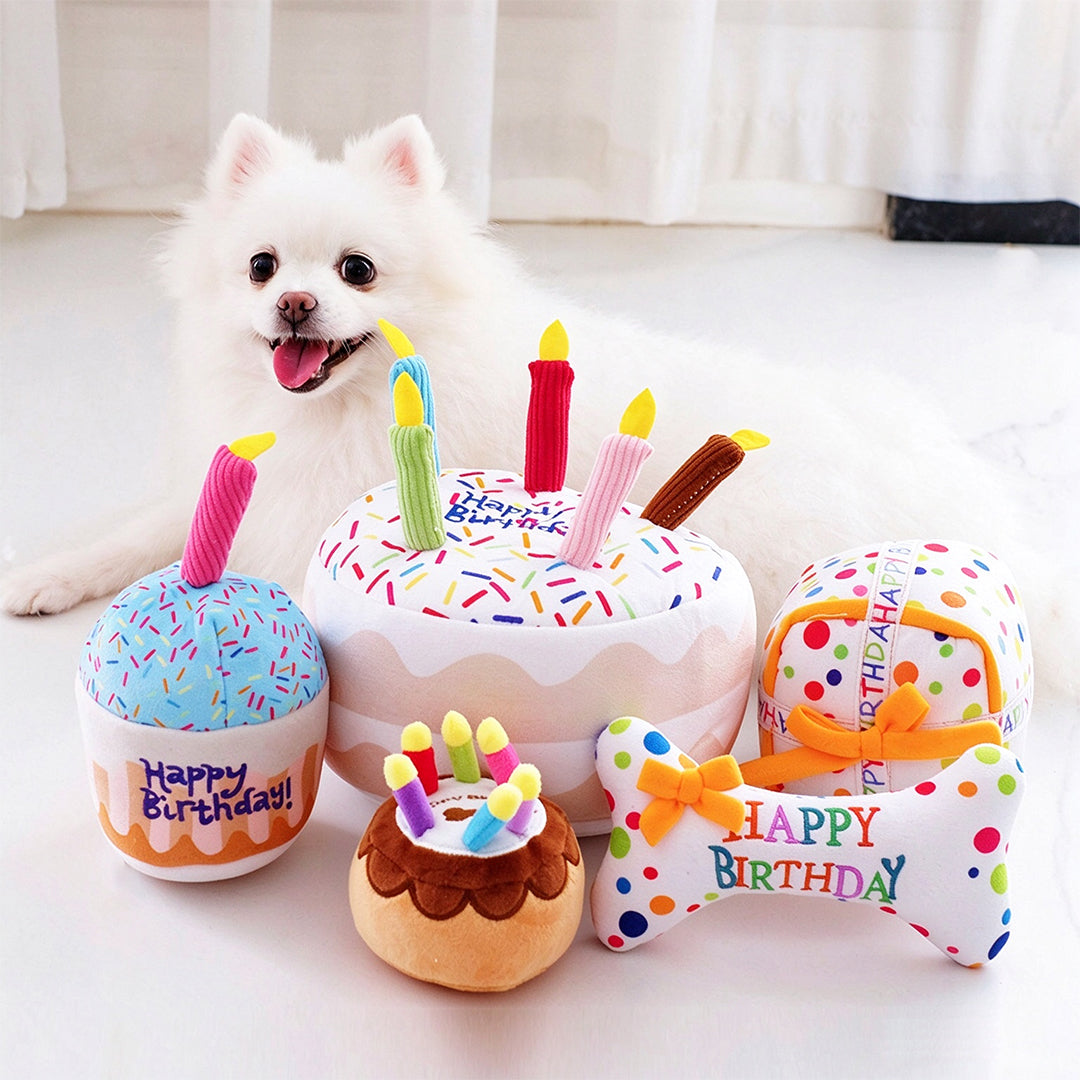 Birthday Party Squeaky Plush Dog Toy