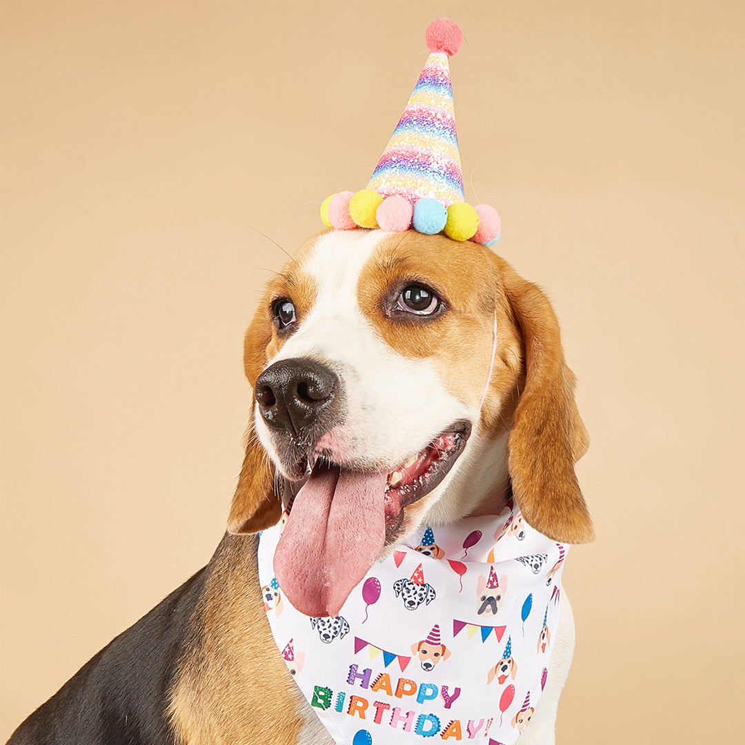 Pet Birthday Hat & Bandana Set