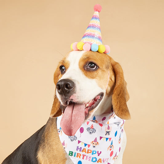 Pet Birthday Hat & Bandana Set