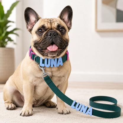 Personalized Letter Pet Leash and Collar Set