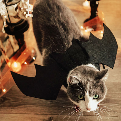Puptailor Bat Wing Costume-Cat Halloween Costume
