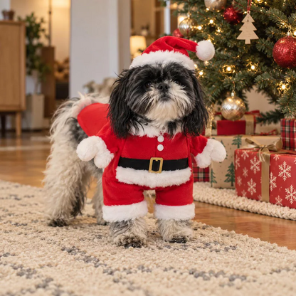 Santa Suit Pet Costume
