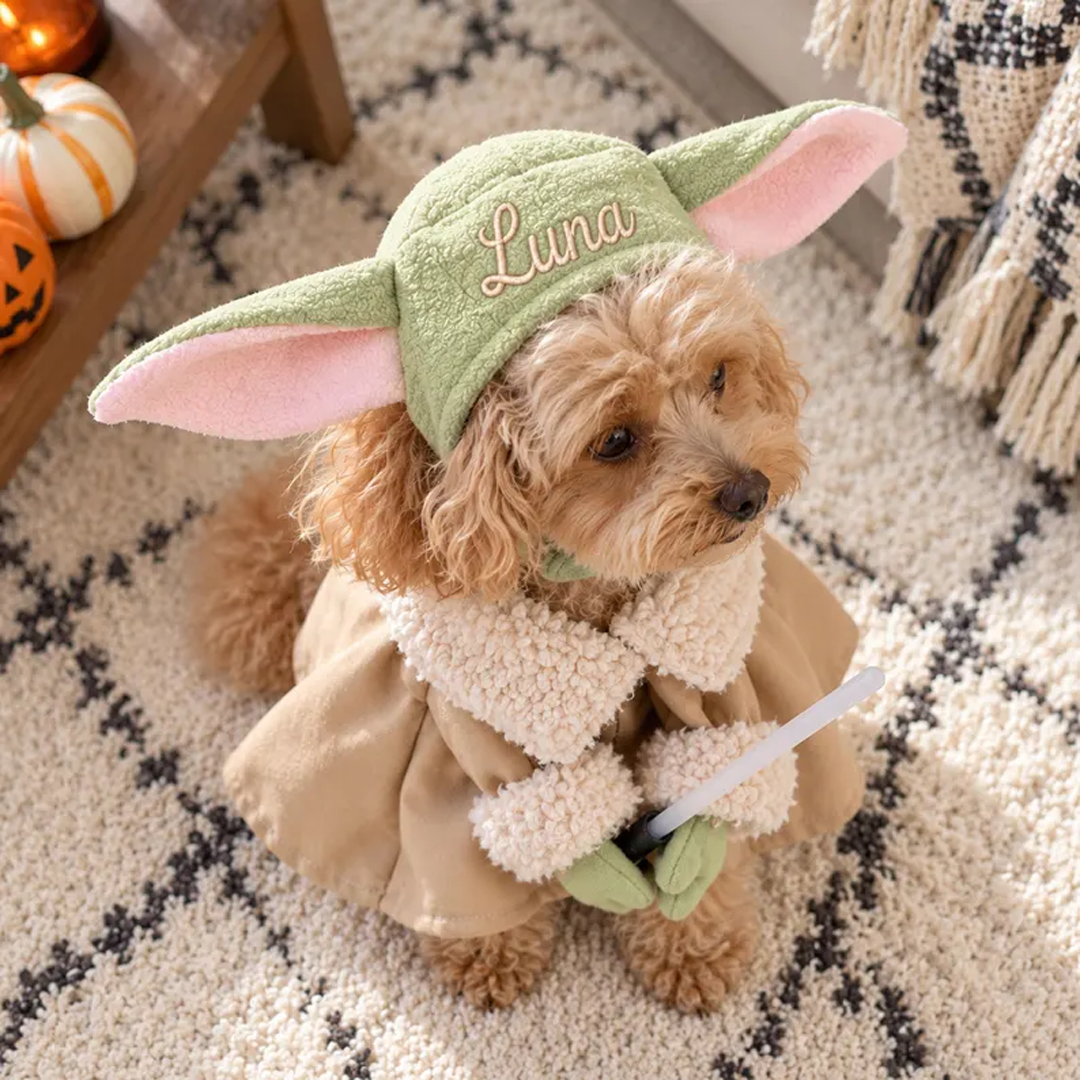 Personalized Alien Pet Costume