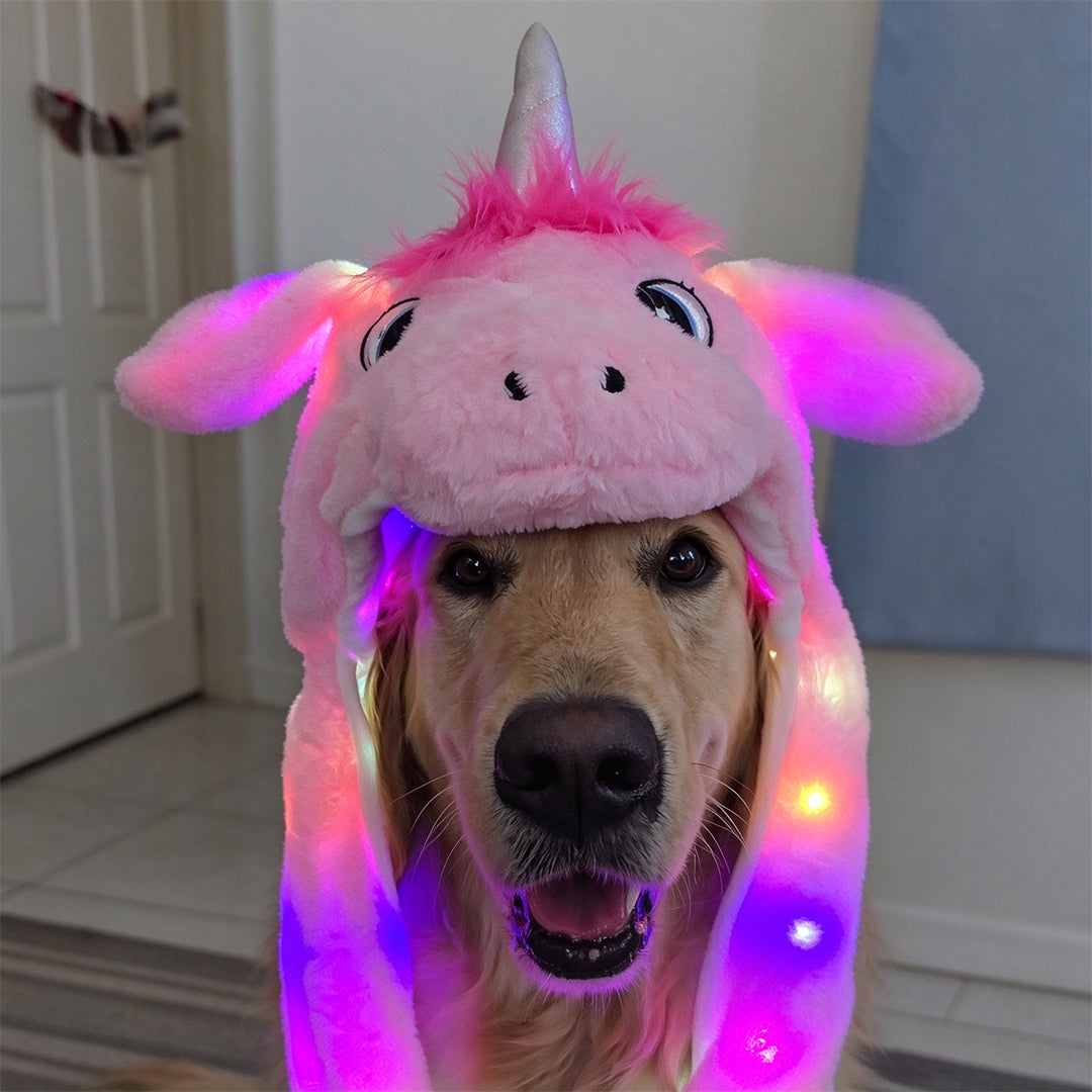 Light-Up Animal Hat with Moving Ears for Pets