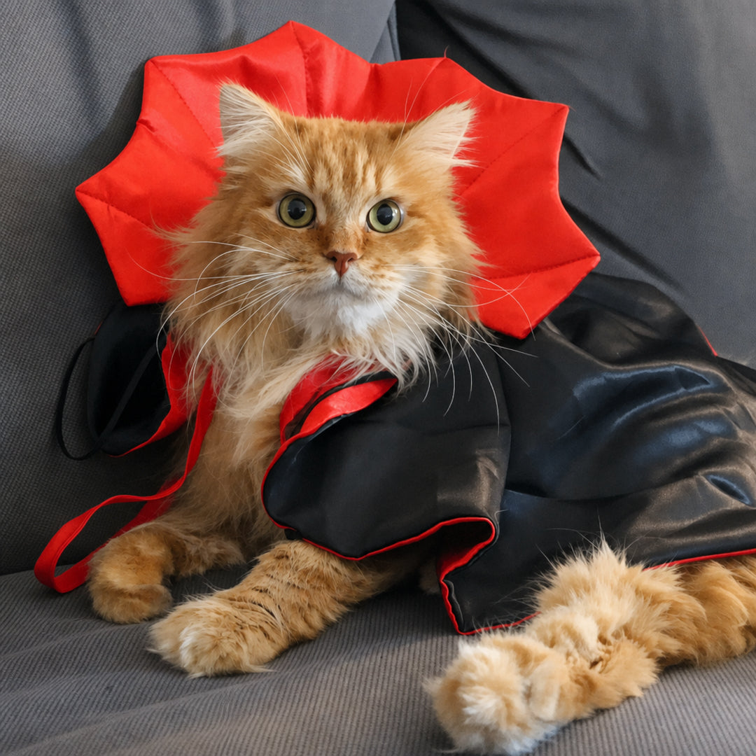 Vampire Cape Halloween Costume for Pets