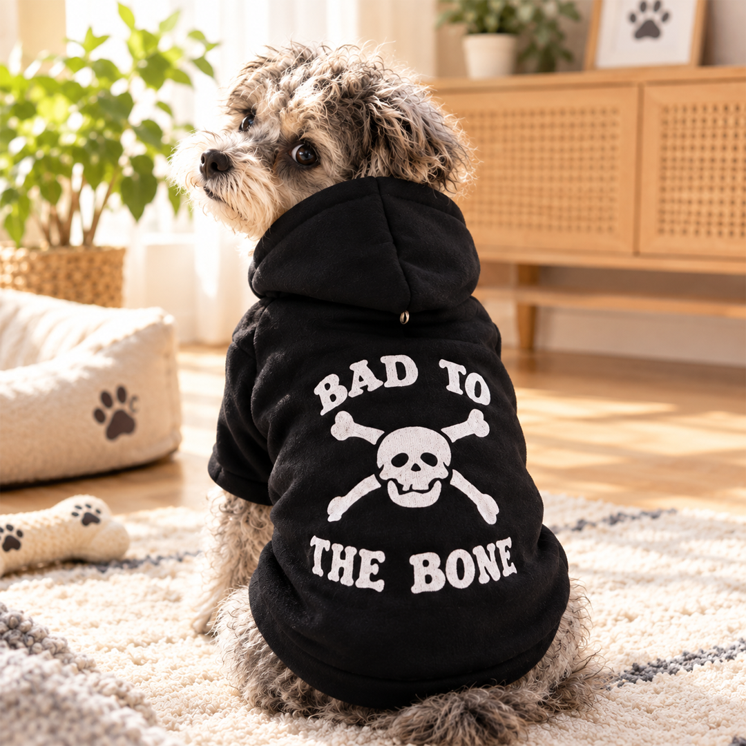 Born to Be Wild Dog Hoodie