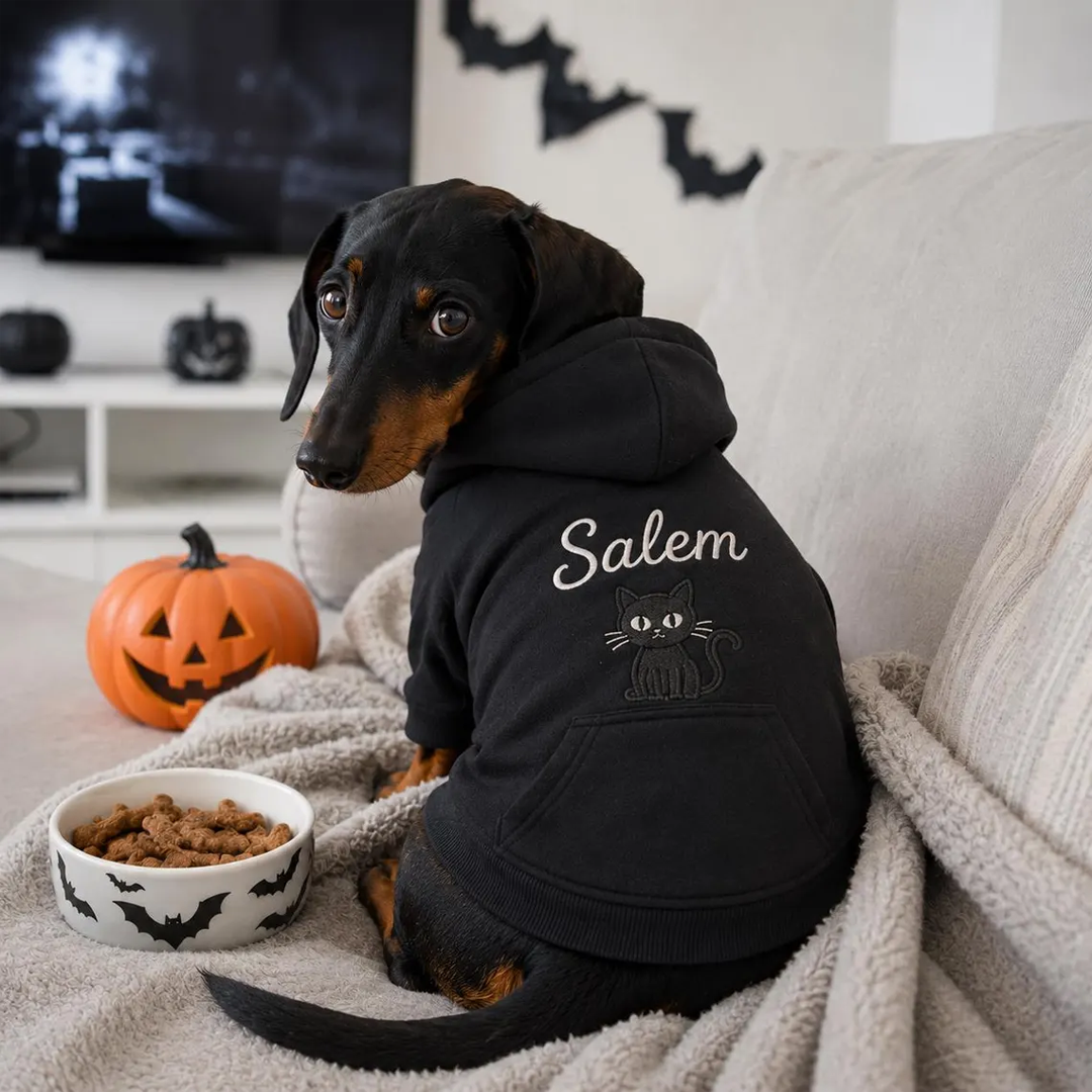 Puptailor Personalized Embroidered Halloween & Name Pet Hoodie