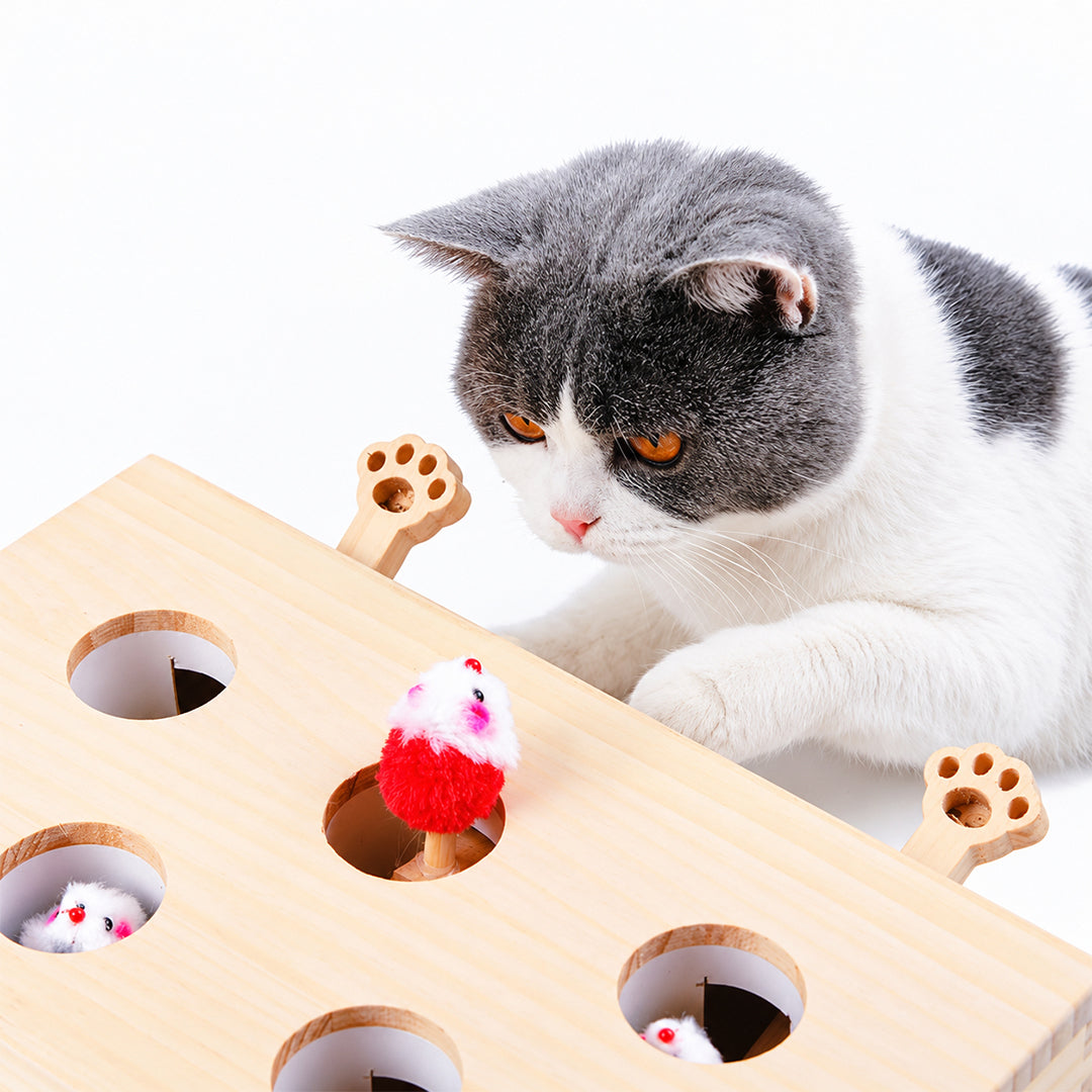Wooden Whack-a-Mole Pet Toy