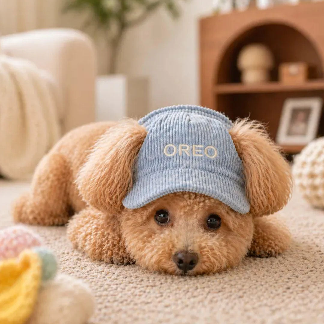 Personalized Corduroy Embroidered Pet Hat