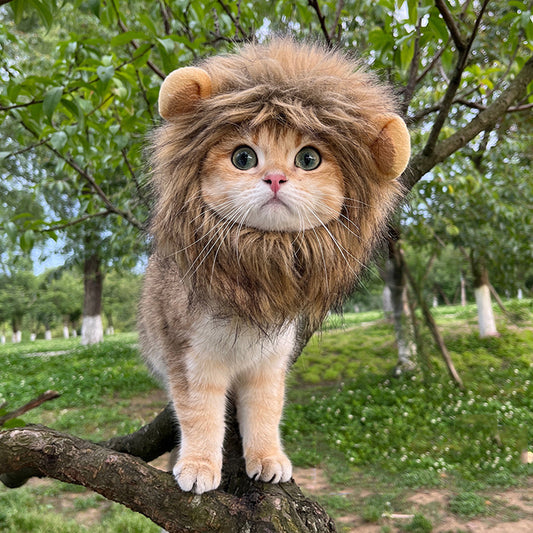 Lion Headgear for Cat, Cute Pet Headband