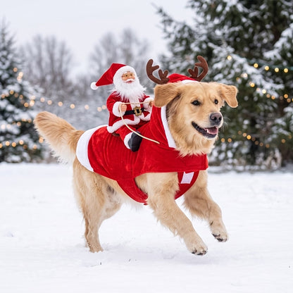 Santa's Sleigh Rider Dog Costume