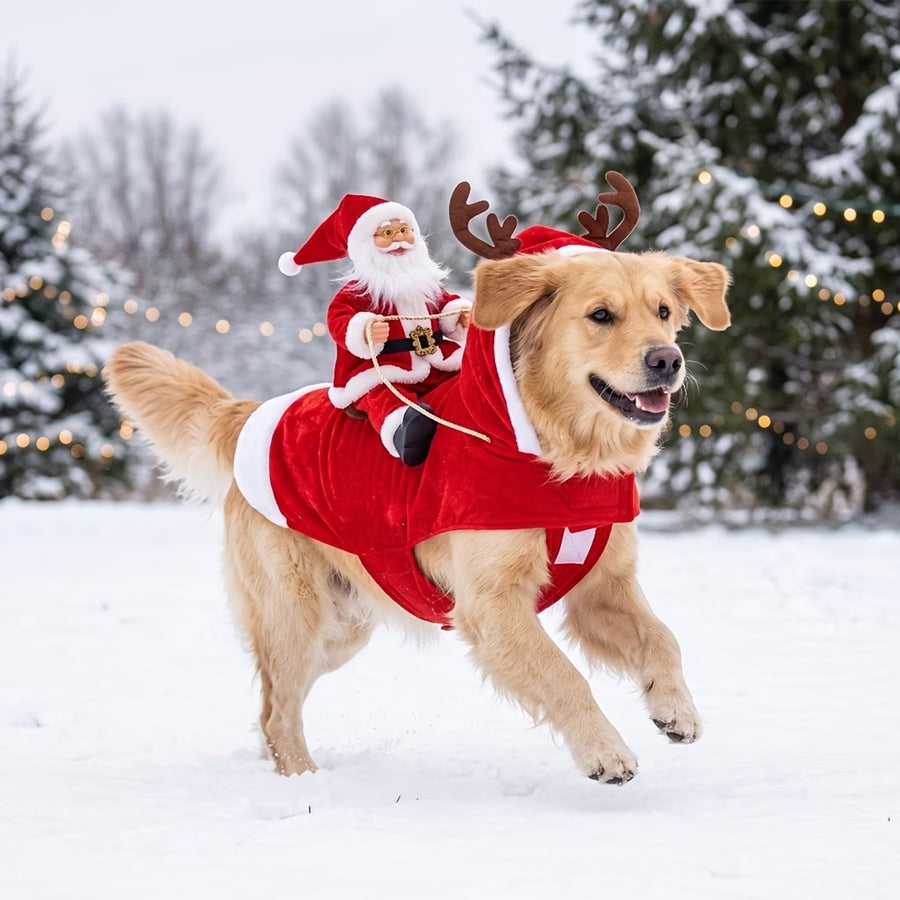 Santa's Sleigh Rider Dog Costume