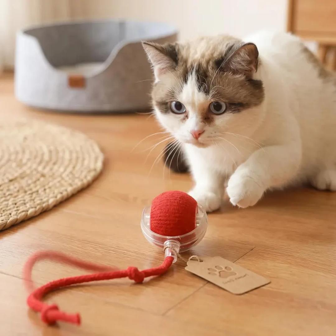 Puptailor Smart Automatic Rolling Cat Ball Toy-Rechargeable Interactive Play Ball