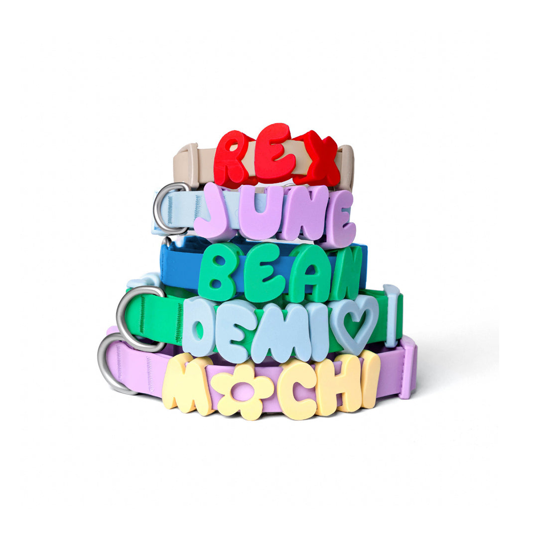 Personalized Waterproof Dog Collar with Charms