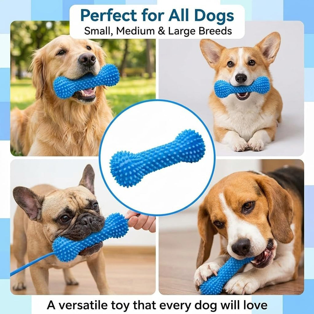 Dog Teething Toy