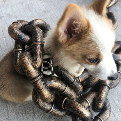 Thick Plastic Funny Dog Leash