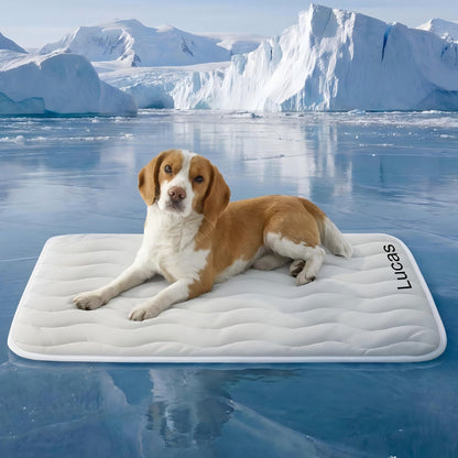 Personalized Pet Cooling Mat