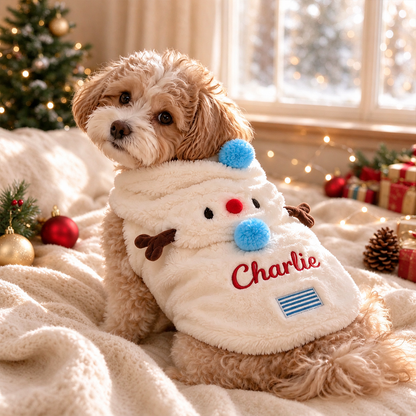 Personalized Snowman Christmas Pet Costume