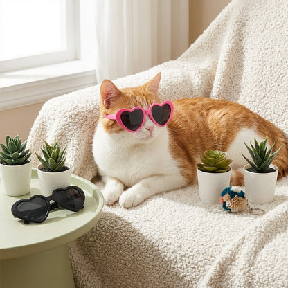 Stylish Heart-Shaped Pet Glasses