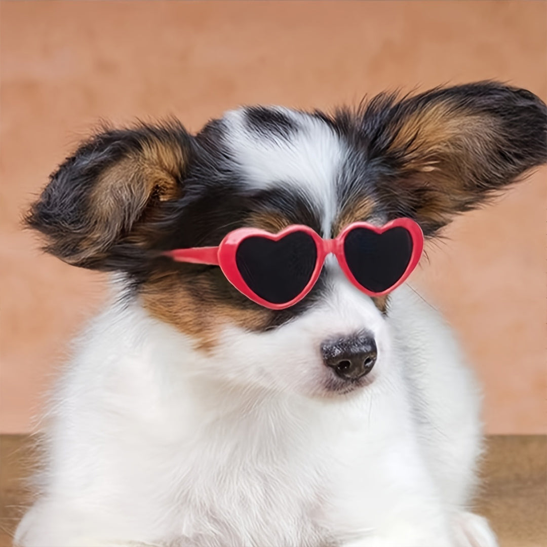 Stylish Heart-Shaped Pet Glasses